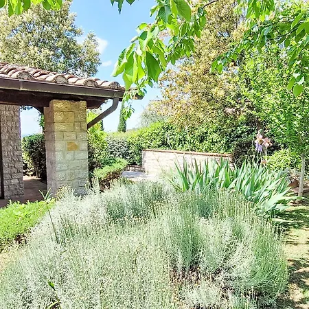Hébergement de vacances San Regolo-2 By Interhome *